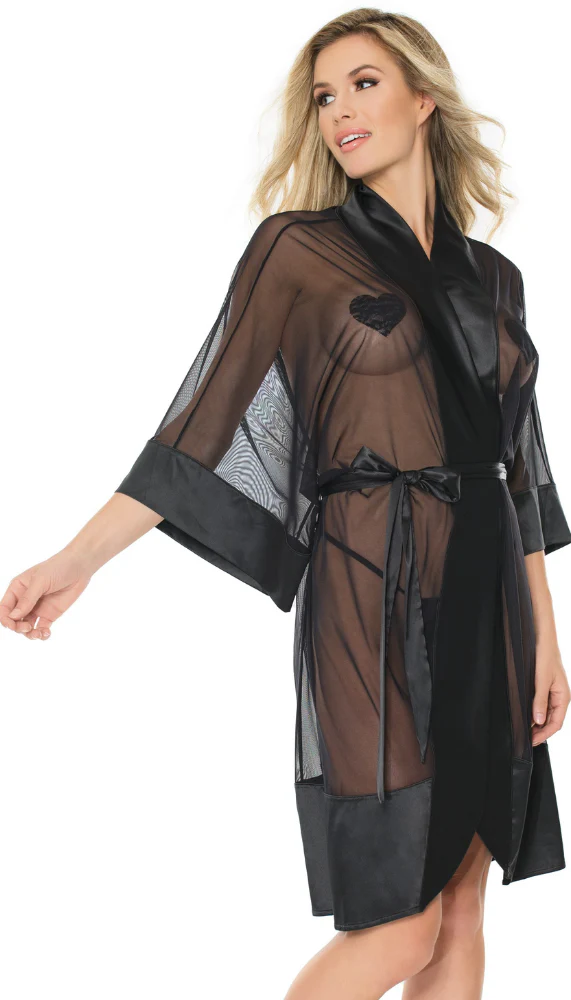 Sheer Black Robe - Image 3